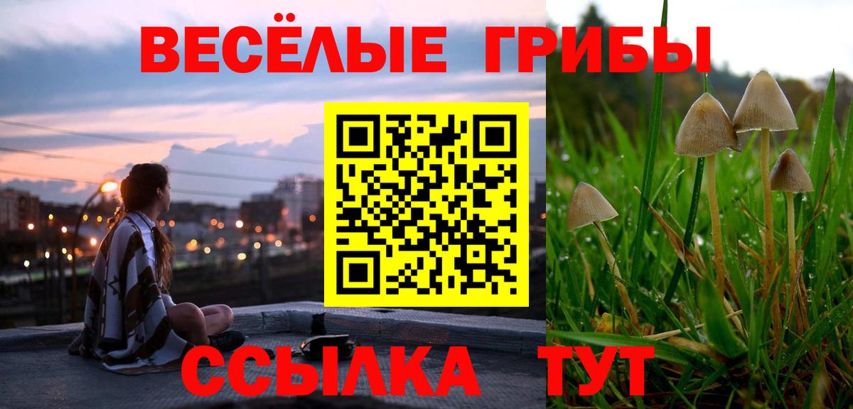 как найти   Псилоцибиновые грибы Cubensis  Вход с VPN  Бугуруслан 